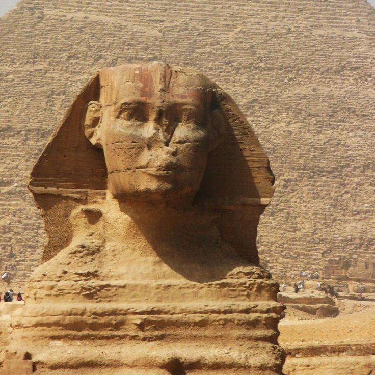 Design sans titre(7)